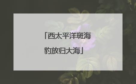 西太平洋斑海豹放归大海
